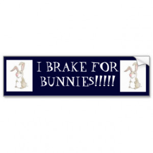funny bunny, funny bunny, I BRAKE FOR BUNNIES!!!!! Bumper Sticker