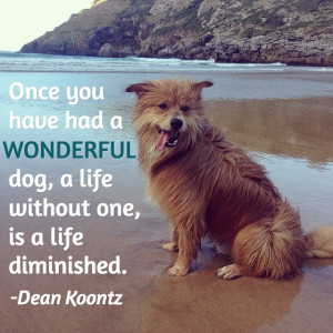 29 Of The Most Beautiful Dog Death Quotes That Will Bring Tears To