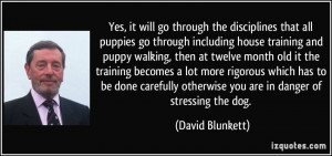 Yes, it will go through the disciplines that all puppies go through ...