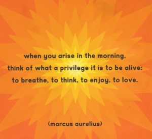 When you arise in the morning, think of what a privilege it is to be ...