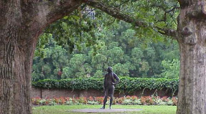 of woody species 12 thomas jefferson statue thomas jefferson statue