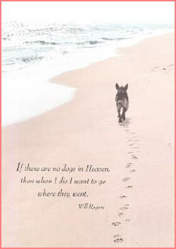 Dog Sympathy Card