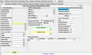 Drug Court Case Management