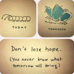 Don't loose hope ..