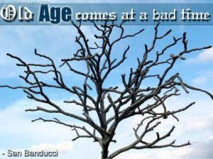 Old age comes at a bad time quote