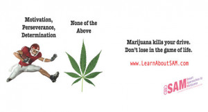 Anti-Marijuana Billboard S