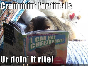 funny-pictures-cat-crams-for-finals.jpg