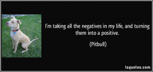 ... the negatives in my life, and turning them into a positive. - Pitbull