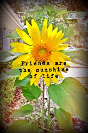 Home Quotes Happy Quotes About Sunflowers
