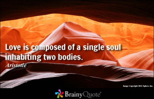 Love is composed of a single soul inhabiting two bodies.