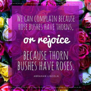 because rose bushes have thorns, or rejoice because thorn bushes ...