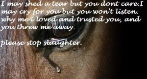 And maybe then he'll see.