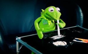 kermit the frog cocaine 1680x1050 wallpaper Animals Frogs HD