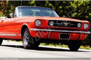 Funny Quotes Contact Dmca...