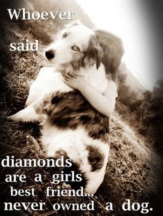 dog pictur puppies animals friends dogs quotes diamonds pet true ...
