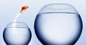 Do You Exceed Expectations?
