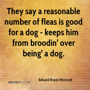 They Say A Reasonable Number Of Fleas Is Good For A Dog - Keeps Him ...