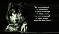 Cool Wolf Sayings | animal black, pack, the pack, wolves, quotes ...