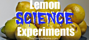 Lemon juice and baking soda science experiments are perfect for ...