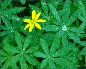 Motivational Phrases about Having the Courage to go Against Mainstream ...