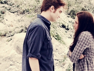 ... about Edward, but I really love some of the things that Bella says