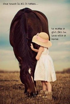 Horses and Riding quotes