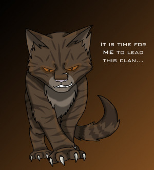 warrior cats