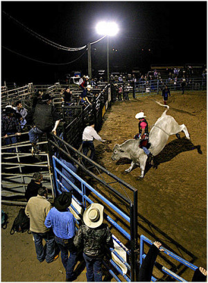 view original image )