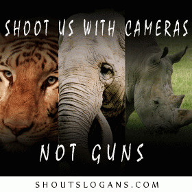 Save Animals Slogans