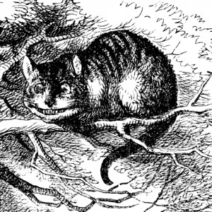 The Cheshire cat as illustrator John Tenniel envisioned it in the 1866 ...