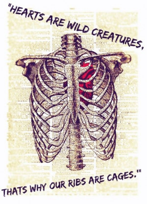 ... love quotes – hearts are wild creatures thats why our ribs are cages