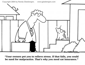 Insurance Cartoons, cat insurance, cats