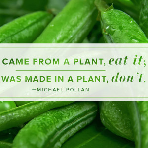 Michael-Pollan-Quote-About-Eating.jpg
