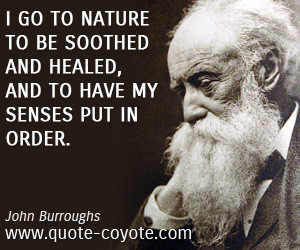 Order quotes - I go to nature to be soothed and healed, and to have my ...