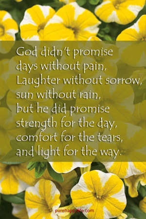 Life Quote: God didn’t promise days without pain, laughter without ...