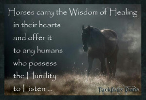 are crazy about horses equine therapy inspiration horses hors quotes ...