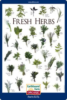Fresh herbs are a great way to add intense flavor to a dish without ...