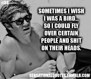 sometimes i wish i was a bird so i could fly over certain people and ...