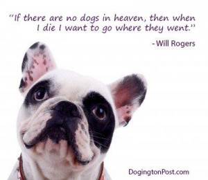 If There Are No Dogs In Heaven Then When I Die I Want To Go Where They ...