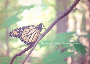 Monarch Butterfly Smile Quote Shabby Chic Vintage Easter Soft Pastel ...