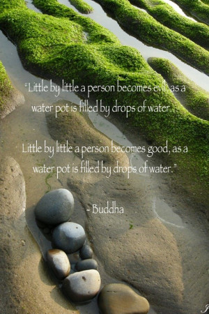 Buddha quote