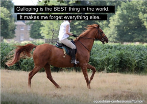 Galloping is the best feeling in the world. Hands down.