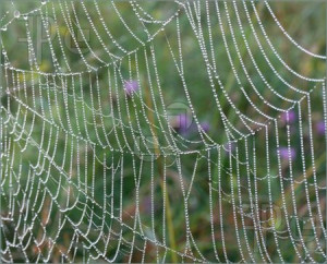 Funny Quotes Contact Dmca...