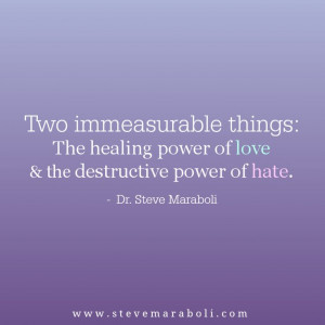 ... power of love and the destructive power of hate. - Steve Maraboli
