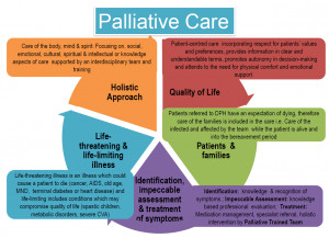 Welcome to the website of the English Journal for Palliative Care. The ...