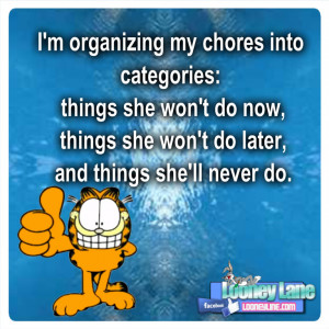 organizing my chores into categories: