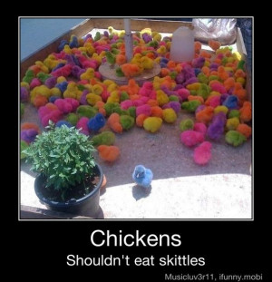 Chickens shouldn’t eat skittles