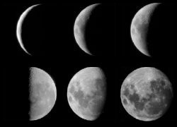 lunar phases moon phases photos moon phases hunting chart 2013 related ...
