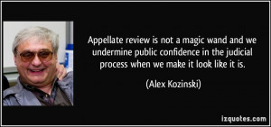 Appellate review is not a magic wand and we undermine public ...