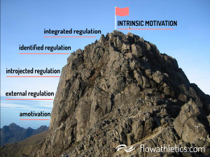 climbing a mountain. The more internally motivated you are, the higher ...